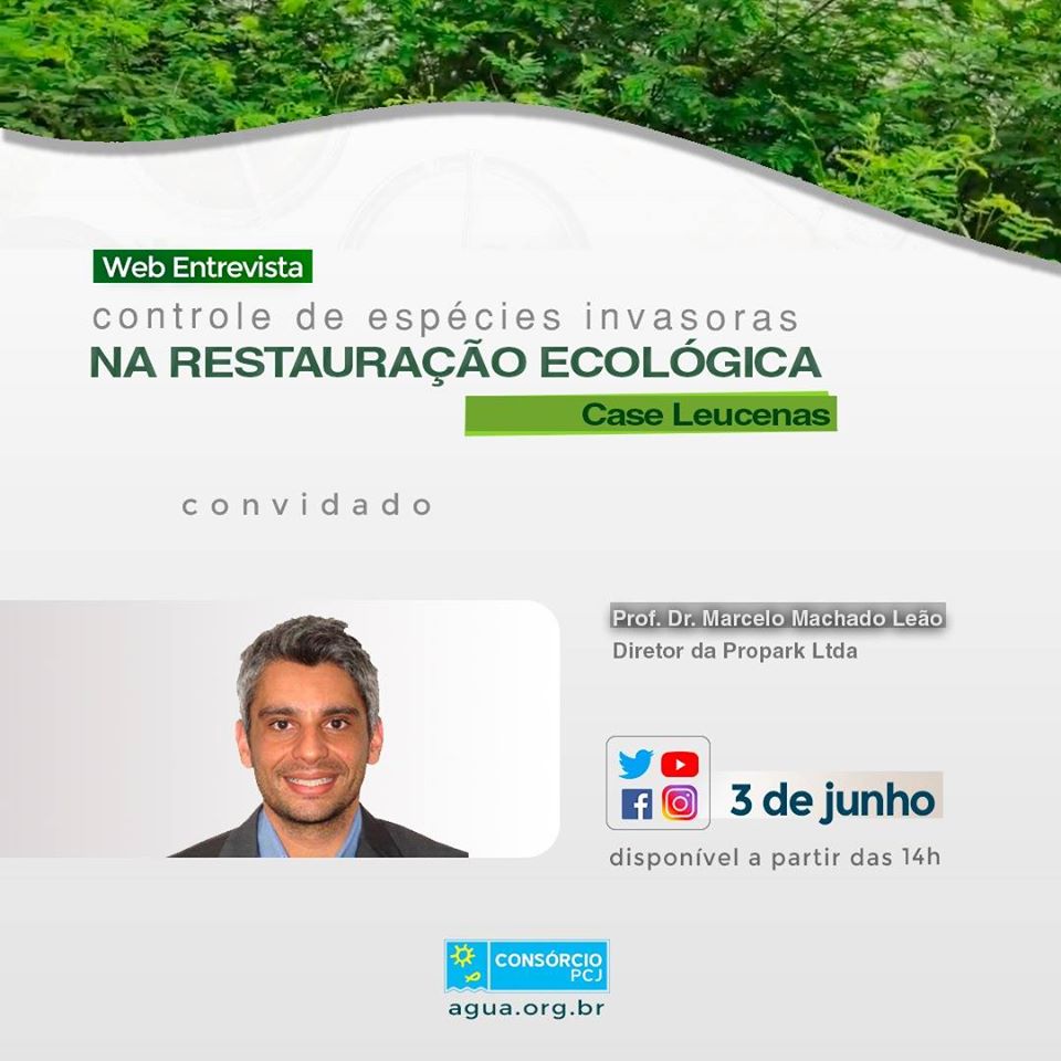 Controle da espécie invasora Leucena é abordado em Web Entrevista do Consórcio PCJ