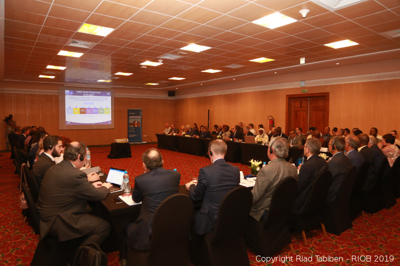 Metas para Sustentabilidade Hídrica elaboradas pelo Consórcio PCJ serão incorporadas em documento da RIOB 2019 e divulgadas internacionalmente
