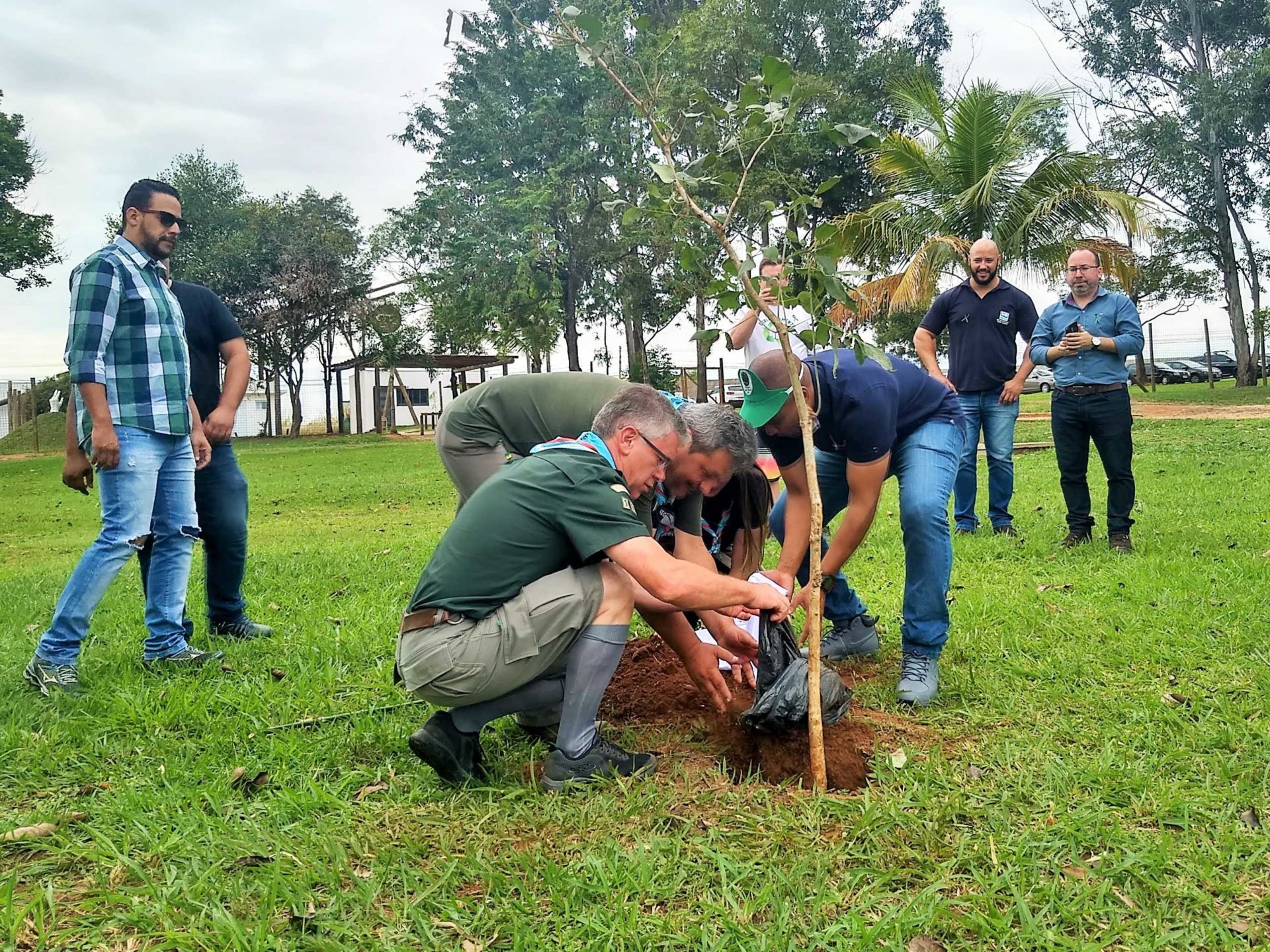 Campanha Junho Verde tem início em Americana com o plantio de árvore nativa
