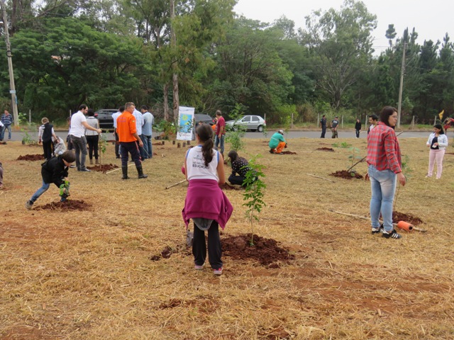 Nova Odessa comemora Semana do Meio Ambiente com recuperação de afluente do Quilombo