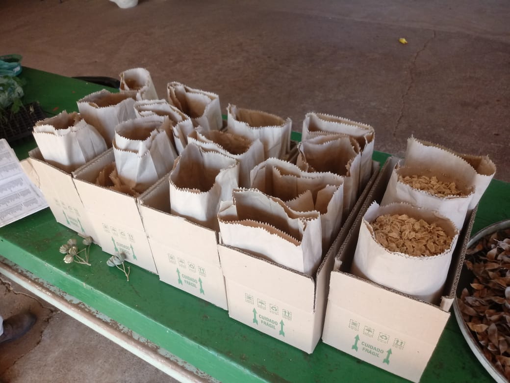 Viveiros Municipais parceiros do Consórcio PCJ são abastecidos com insumos para a produção de mudas nativas