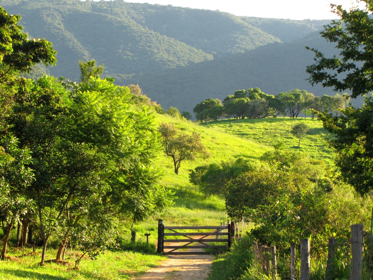 Consórcio PCJ e parceiros começam projeto de preservação da Serra do Japi