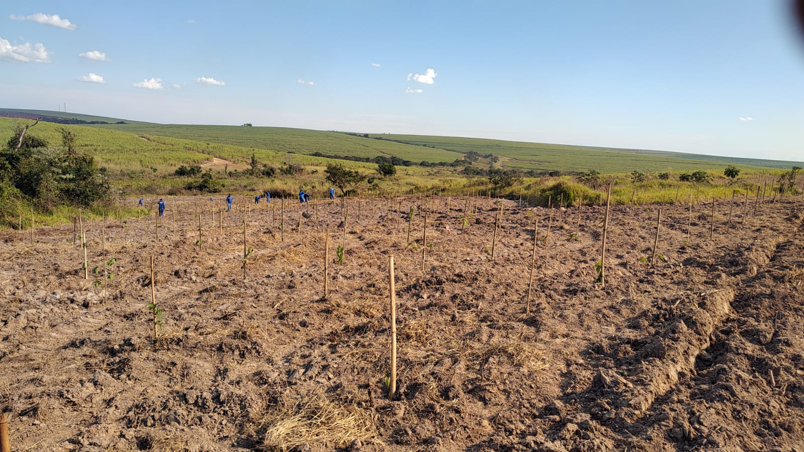 Santa Bárbara d’Oeste e Consórcio PCJ recuperam APPs da Represa Areia Branca, principal reservatório de água da cidade