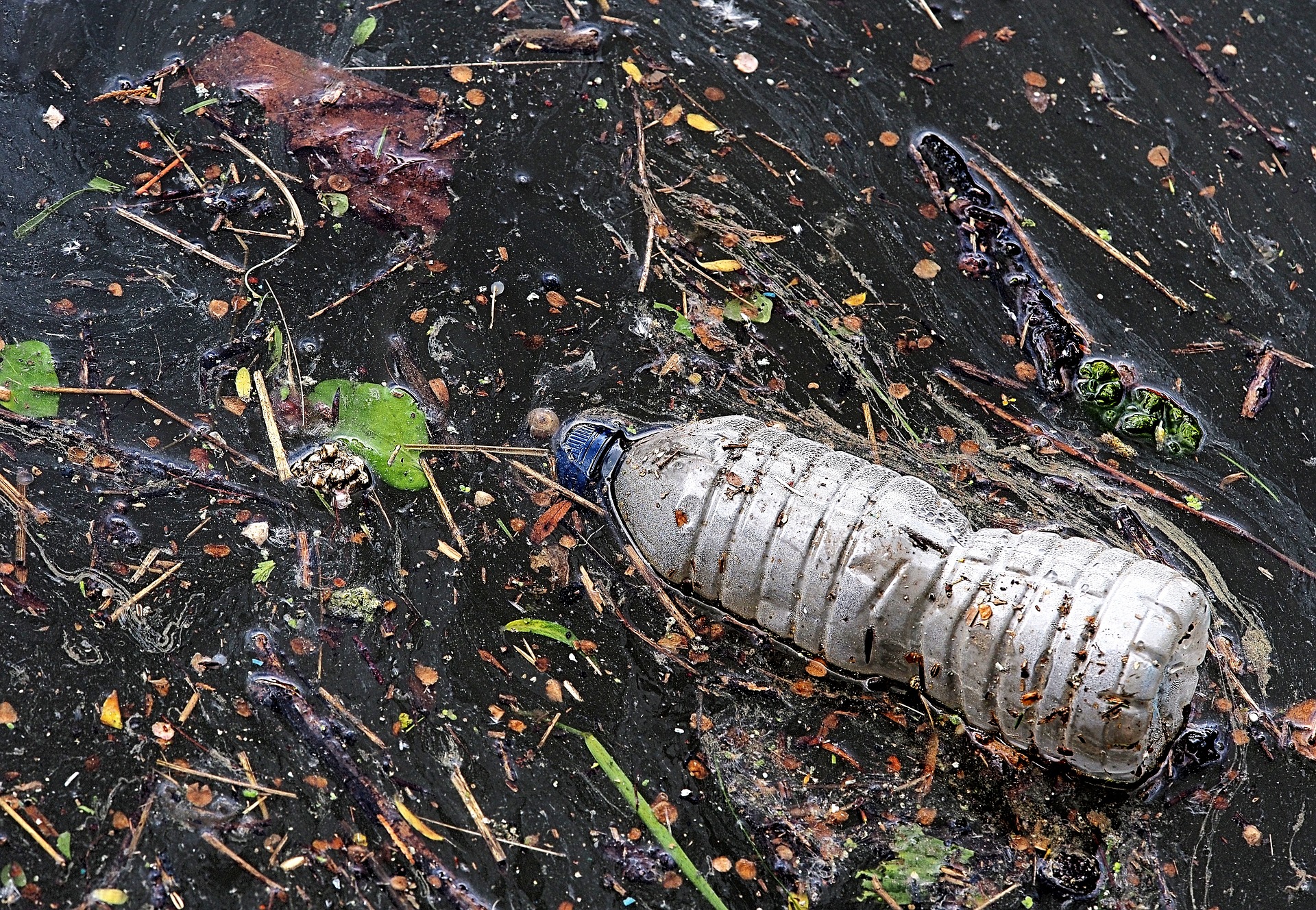 É a hora de falarmos sobre poluição plástica e seus impactos ao meio ambiente e à gestão da água