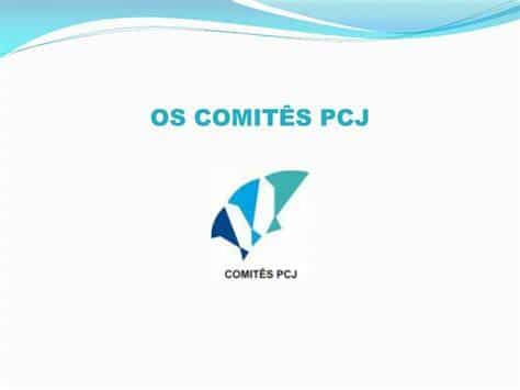 Comitês PCJ comemoram 30 anos de fundação com Seminário Internacional