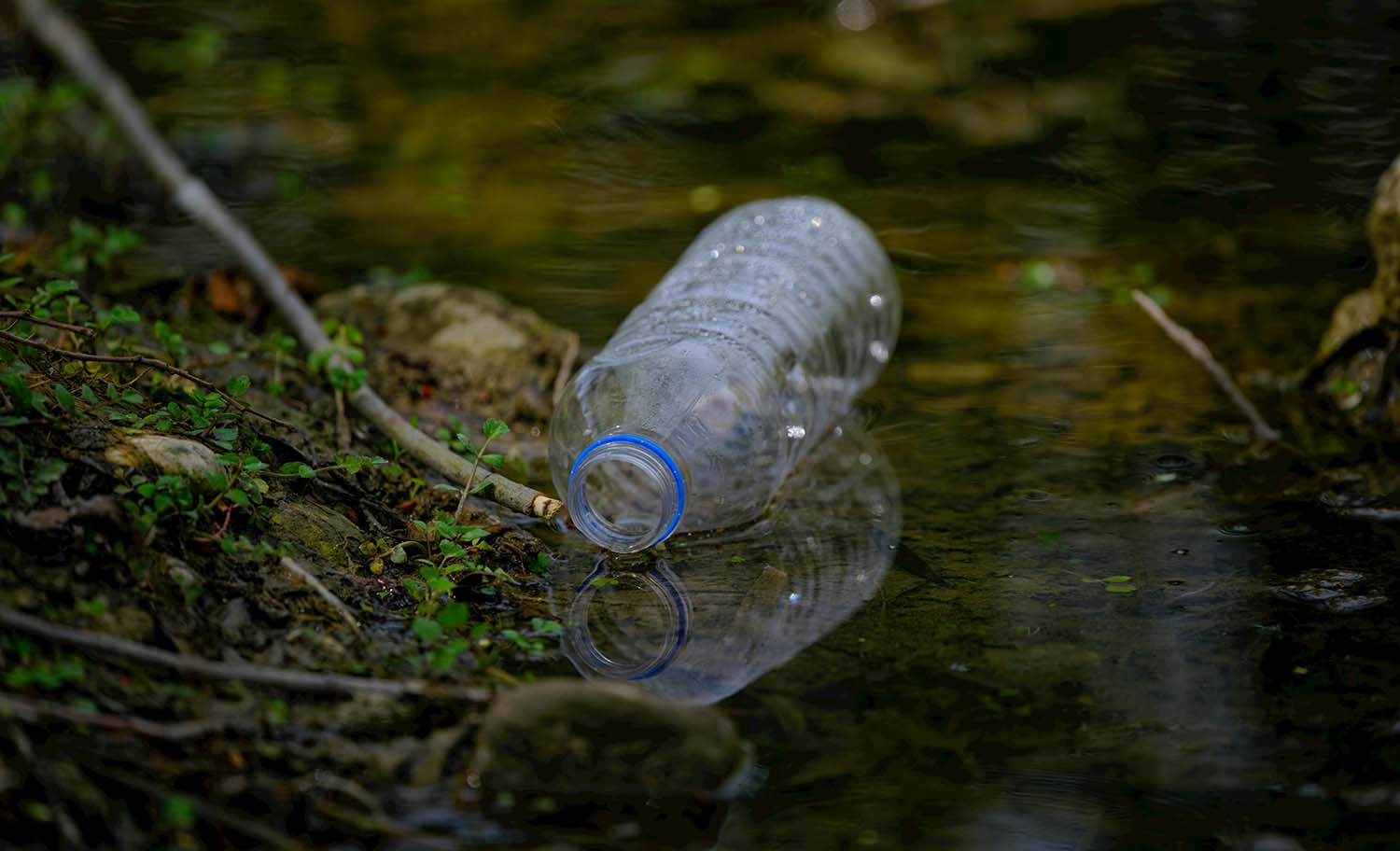 Combate à poluição plástica é o tema do Dia Mundial do Meio Ambiente 2025